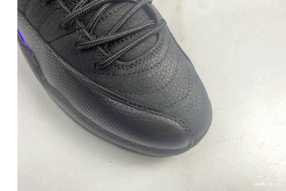 Black Dark Jordan CT8013-005 Air 12 Retro CT8013-005 Concord 0126